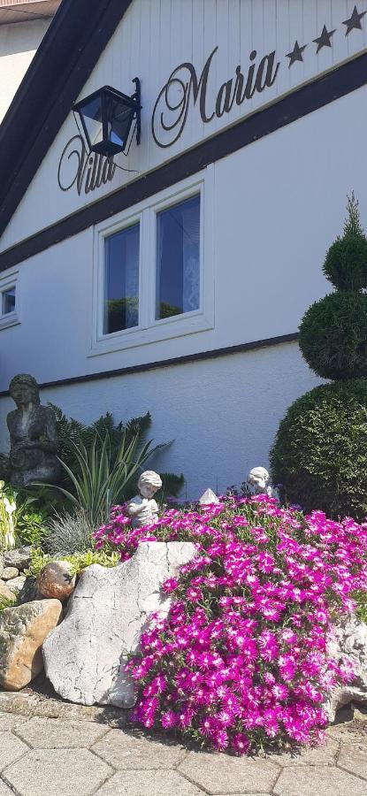Villa Maria ポゼガ エクステリア 写真